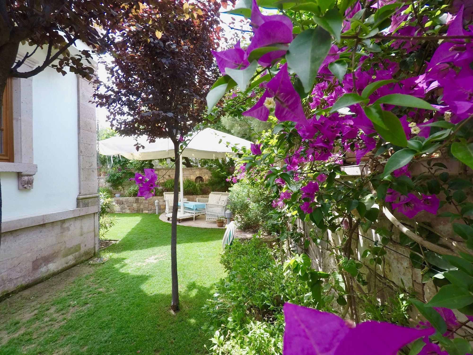 Tas Bahce Hotel Cunda ไอวาลิค ภายนอก รูปภาพ